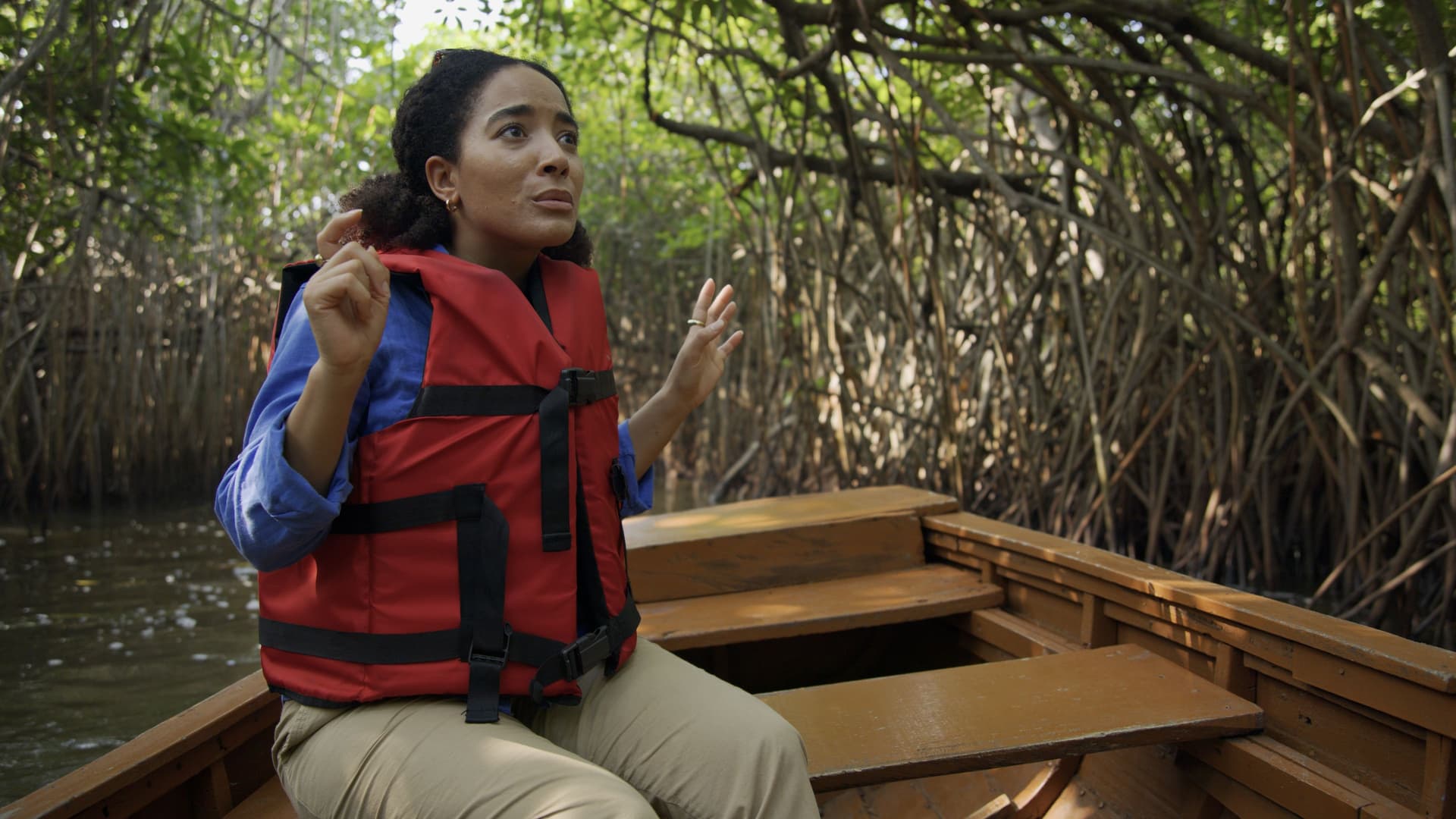Pichavaram mangrove forest water