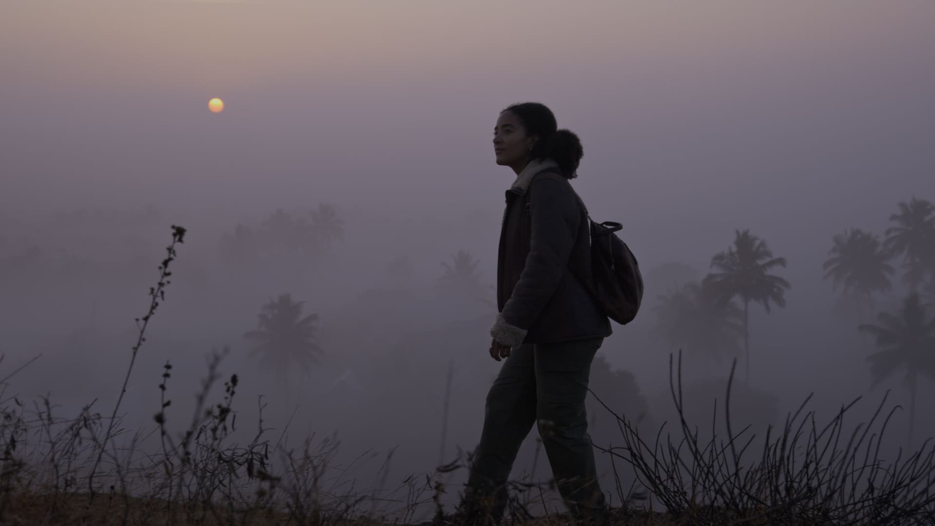 Javadu Hills dawn mist