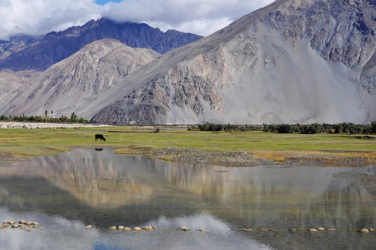 Cold In April Top April Cold Weather Activities in Nubra Valley: